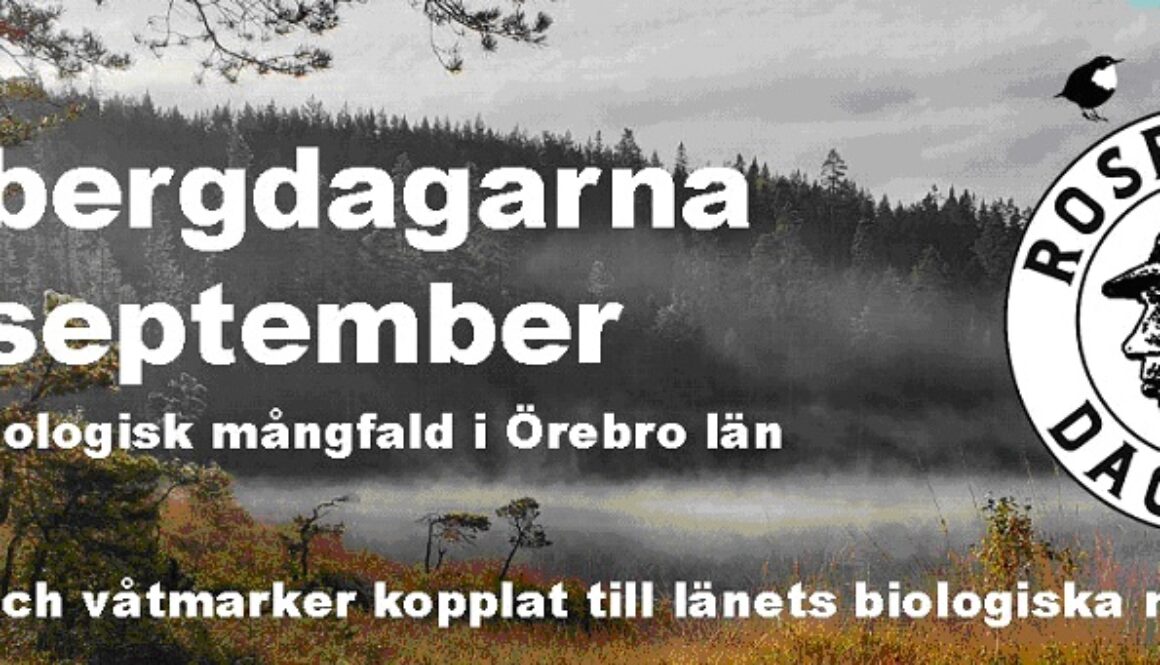 Rosenbergsdagarna